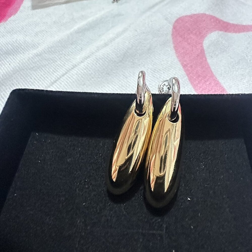 Bottega Veneta Gold Silver Earrings